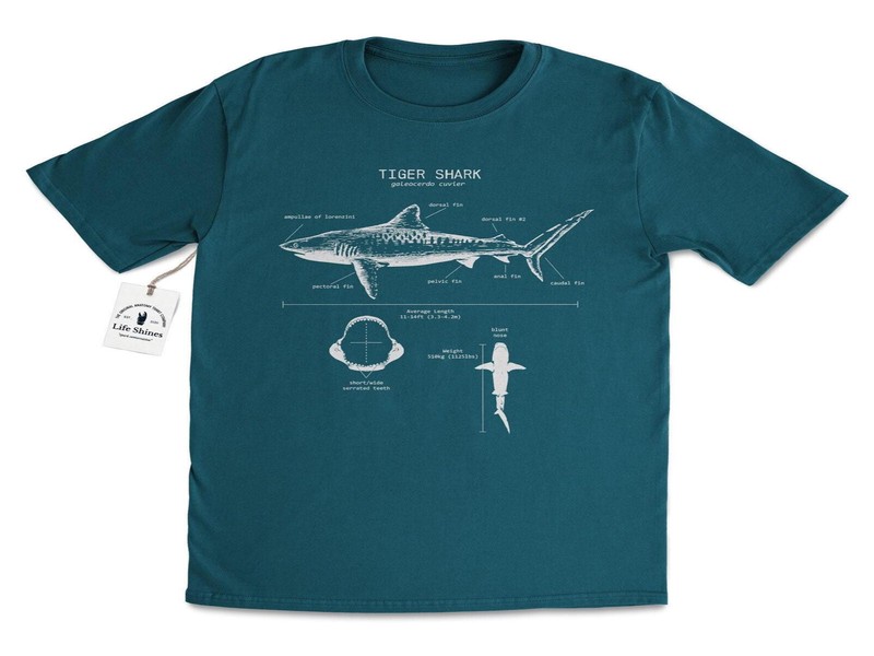 The Ultimate Take That Shop: Where to Find Authentic Merch